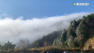 把握機會賞美景　太平山回溫霧淞漸融化
