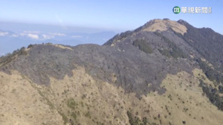 花蓮、南投林管處齊出動　撲滅台灣池森火