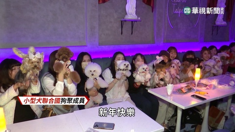 毛孩數量超越真小孩　寵物保險銷量5年翻千倍