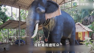 放過大象吧！　印度神廟首創「機器象」祭神