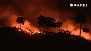 古巴東部森林大火　延燒12天火勢難控制