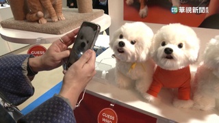 巴塞隆納MWC新技術　寵物鼻紋辨識免植晶片