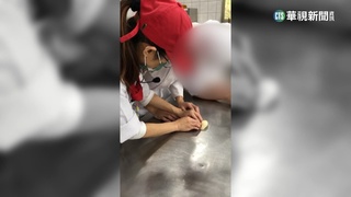 妥瑞氏症生上學遭刁難？　私校遭控迫簽保證書