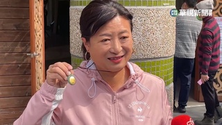 九合一最終延長賽　立委補選藍綠決戰南投