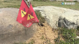 紅火蟻肆虐「網美景點」　竹市府下週勘驗查禍源