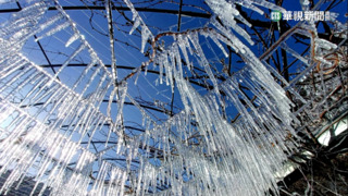 武陵農場-1.5度低溫　冰柱美景如冰雪奇緣