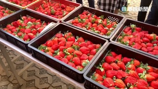 法拍會變美食街　賣草莓.炒麵.白蝦還欠款