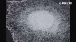 紐時：美官員透露　親烏團體涉炸北溪二號管線