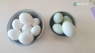 買不到雞蛋怎麼辦？　陳吉仲：歡迎多購買鴨蛋