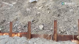 阿朗壹古道鋪「水泥道」　學者怒：粗暴阻斷陸蟹生機