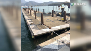 明潭水低避擱淺　朝霧.玄光碼頭拖離1號浮排