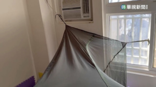 網推當兵神器　二代國軍蚊帳號稱「檢查專用」