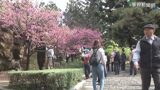 今、明天氣晴朗穩定、日夜溫差大 週日午後水氣增多 冷氣團報到下探12度