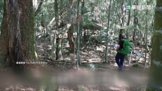 台中2天5起山難　登山客抄捷徑墜谷摔傷