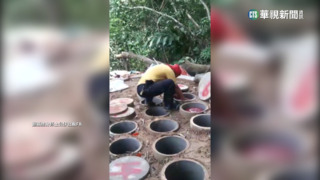 撿骨清理回葬墓地　「土公仔」漸成夕陽產業