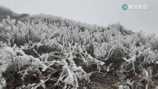 大陸冷氣團影響！　合歡山出現霧淞現象