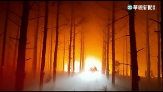 阿根廷野火肆虐　5千公頃林地付之一炬