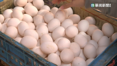 解蛋荒！　逾5百萬顆進口蛋直送超市　估1盒65元