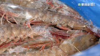 「分手」宏國台灣會缺蝦？　進口商：進口管道多