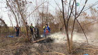 輕航機2死　18歲日客體驗飛行.母弟同行目睹意外