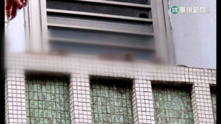 恐怖「米奇屋」！婦餵貓竟鼠成患　鄰居快崩潰