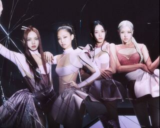 BLACKPINK周末開唱！阿達衝回高雄才發現「沒帶票」 眼神死求解