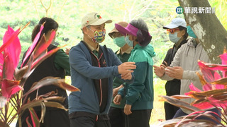 春寒料峭！　周末東北季風襲　北東高溫不到20度