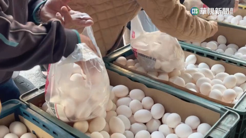 今晚開會審議蛋價　澳土專案進口蛋23日起抵台