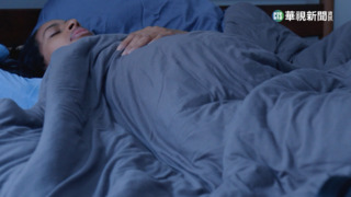 波蘭咖啡廳仿造森林環境　設置吊床供顧客休息