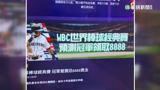 「用台幣支持台灣」　破獲經典賽賭盤網站獲利數百萬