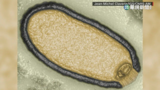 冰封永凍土「殭屍病毒」甦醒　醫示警恐釀大流行