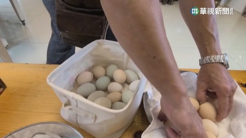 宜蘭民宿奇招　包棟「送20顆蛋或藍寶堅尼雞」