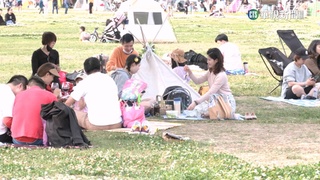 野餐轉向「精緻化」　民眾砸5000元準備佈景.食物