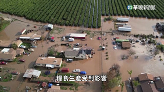 全球食品價格指數　2022年創下歷史最高紀錄