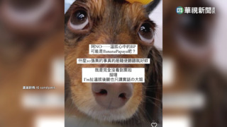 吳宗憲3天內拿BLACKPINK20張？Sandy「戳謊」