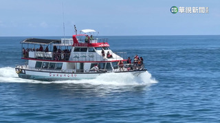 連假國旅太貴改推「平日遊」？　業者：沒誘因很難