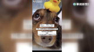 替女兒喬到20張BP演唱會票　吳宗憲挨轟耍特權