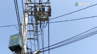 防範未然！春天鳥類電桿築巢　台電巡拆防跳電