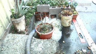 水管爆裂！　彰化路塌「2米天坑」　目睹居民傻眼