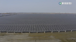 「無米樂」淨土漸消逝　台南後壁大片農田改「種電」