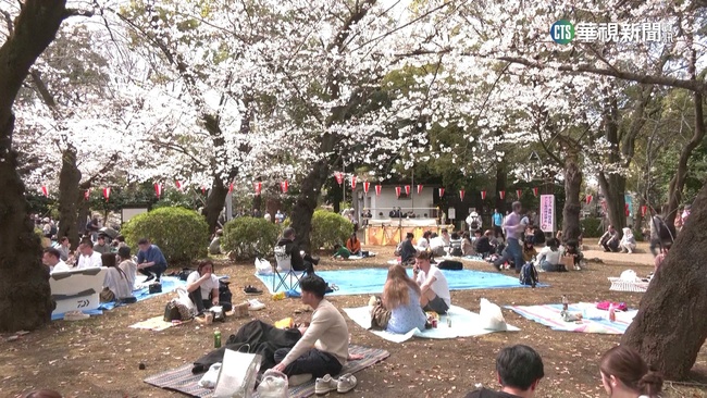 日本櫻花祭商機　　冷藏置物櫃減輕野餐負擔 | 華視新聞