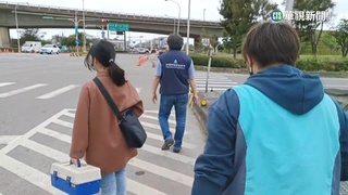 抓捕逃亡狒狒！　吹箭、麻醉槍、無人機全出動