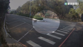 「狒」盡心機　桃市成立「抓狒戰情室」展開搜索