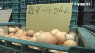 進口雞蛋最快3/29上架　農委會：美.澳.泰為主