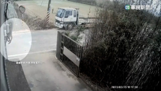 狒狒最新行蹤在楊梅　疑闖民宅叼食物爬外牆