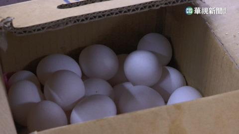 黑市價格瘋炒！　散裝零售雞蛋1斤破百元