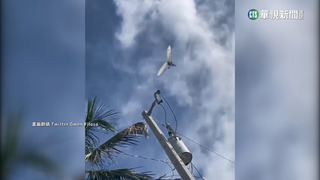 滑翔機脫逃記！　2古巴人偷渡美國降落遭拘留