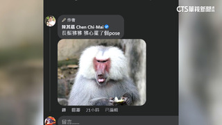 蹭「狒狒」熱度！　陳其邁　PO「狒文」推兒童節活動