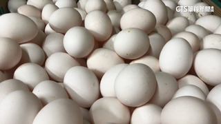 本週蛋價凍漲！傳黑市一箱1800　中盤商不想做