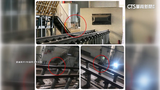 大「狒」周章抓不到　狒狒最新現蹤台鐵富岡基地